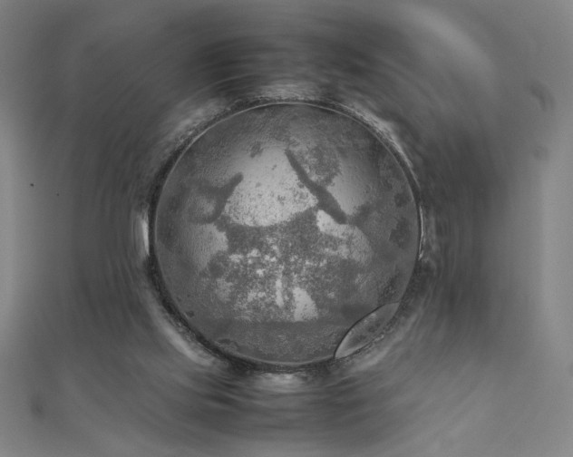 X0000112090061200908041459