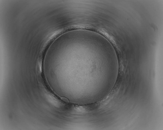 X0000112090062200908041459