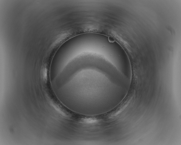 X0000112090067200908041459