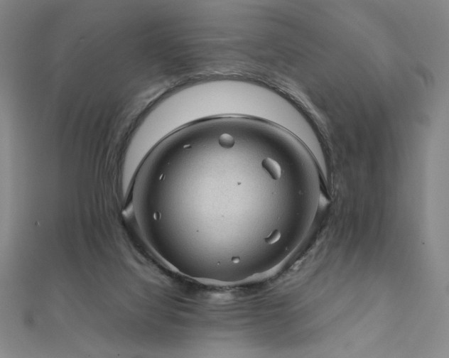 X0000112090068200908041459