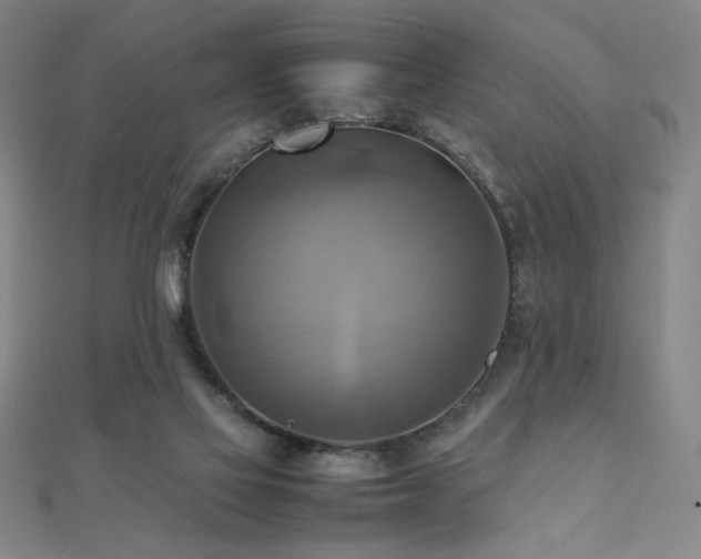 X0000112090069200908041459