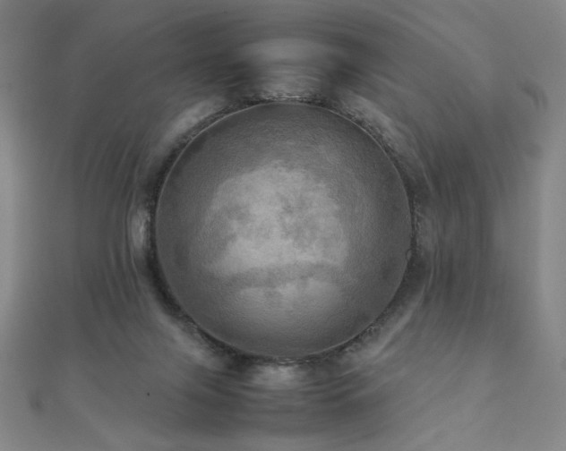 X0000112090071200908041459