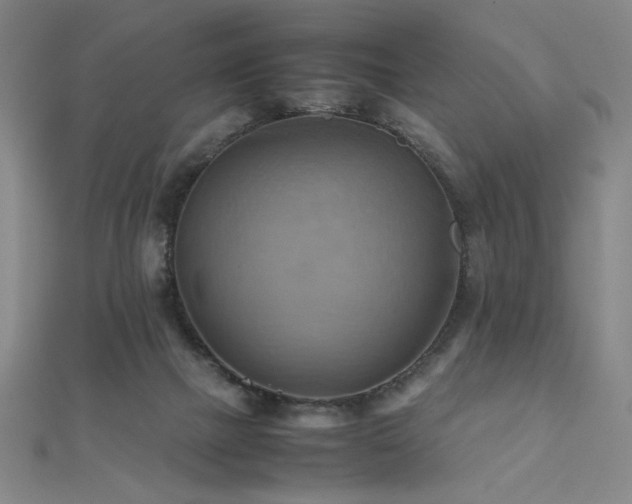 X0000112090073200908041459