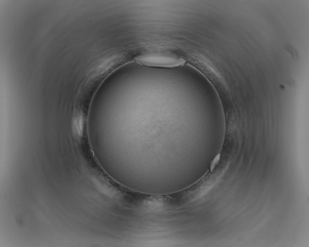 X0000112090076200908041459