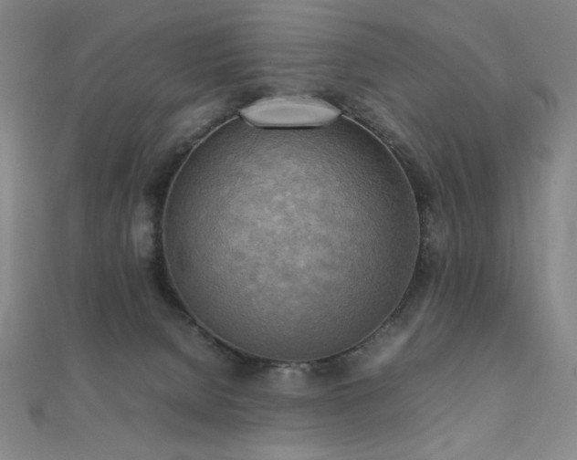 X0000112090080200908041459