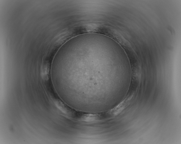 X0000112090082200908041459