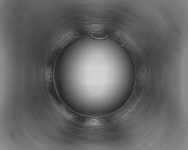 X0000112090083200908041459