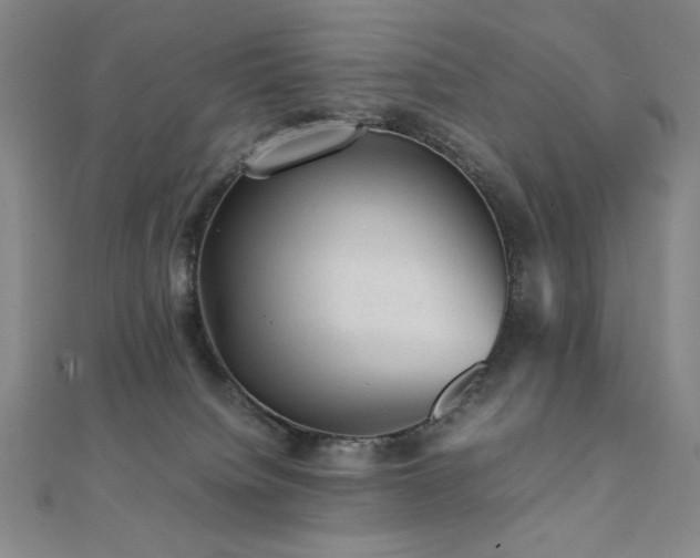 X0000112090084200908041459