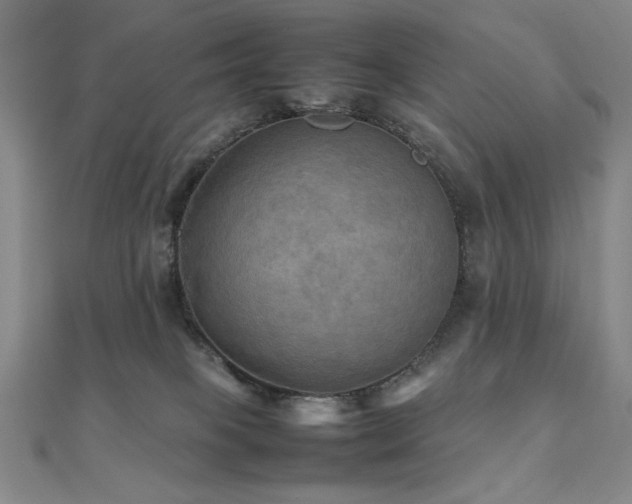 X0000112090085200908041459