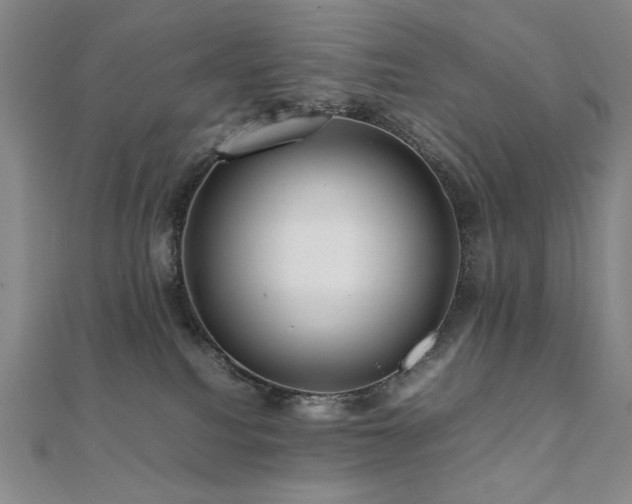 X0000112090088200908041459