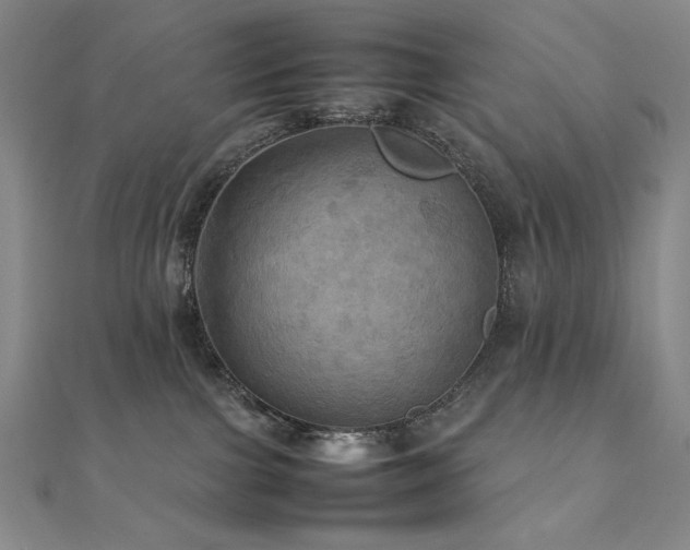 X0000112090091200908041459