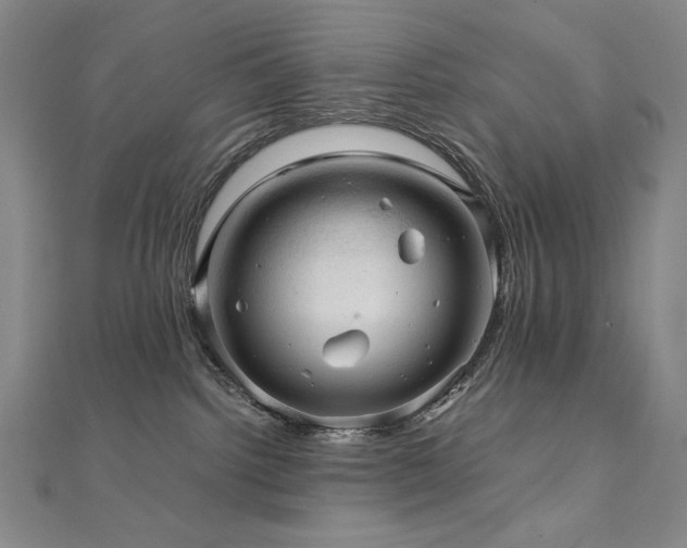 X0000112090092200908041459