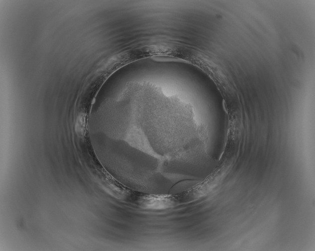 X0000112090093200908041459