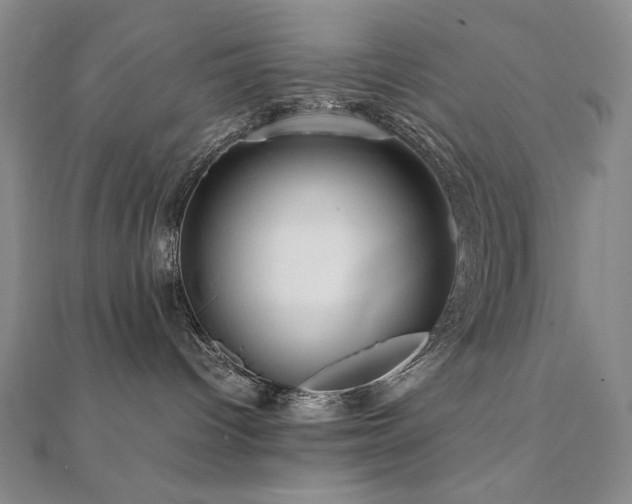 X0000112090096200908041459