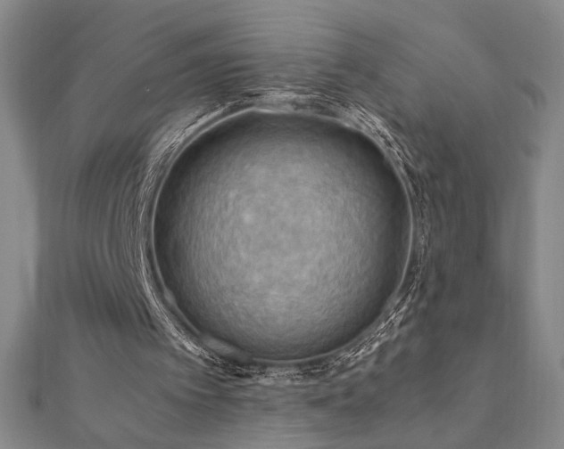 X0000112090097200908041458