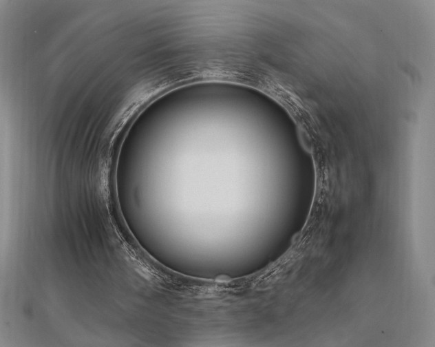 X0000112090098200908041458