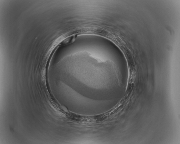 X0000112090099200908041458