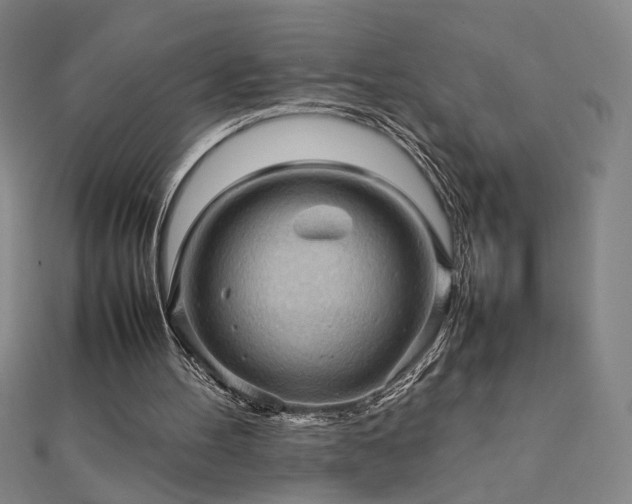 X0000112090100200908041458