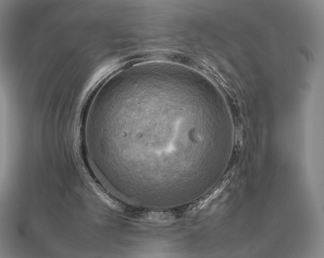 X0000112090101200908041458