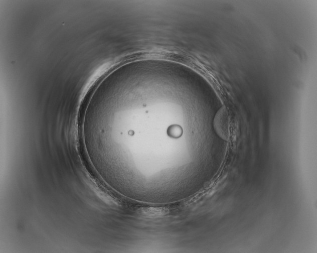 X0000112090102200908041458