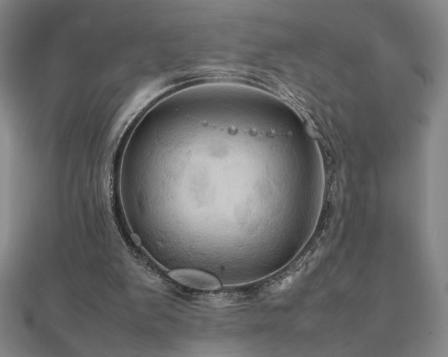 X0000112090103200908041458