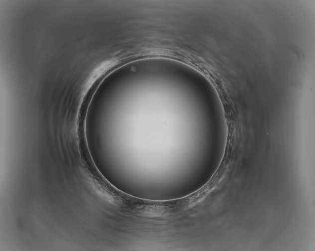 X0000112090104200908041458