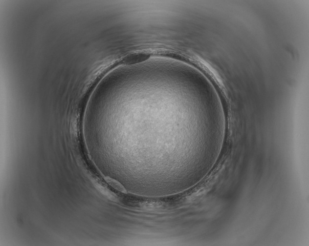 X0000112090105200908041458