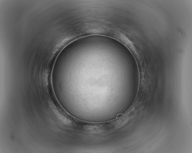 X0000112090106200908041458