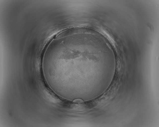 X0000112090107200908041458
