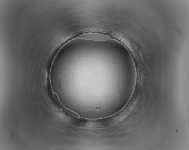 X0000112090109200908041458
