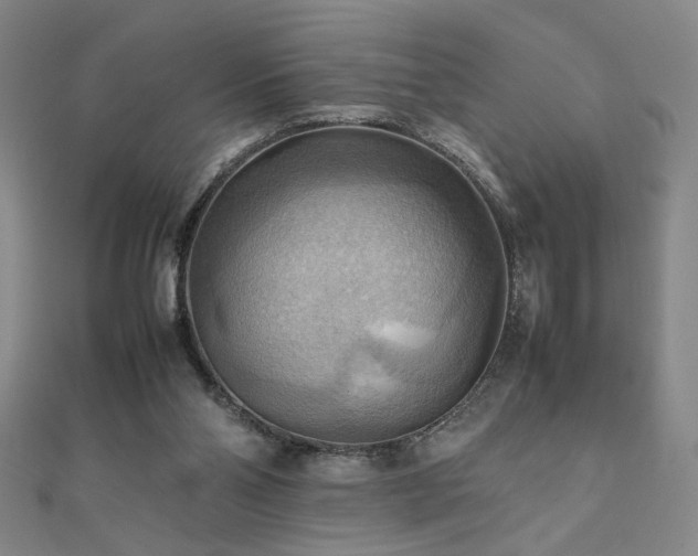 X0000112090110200908041458