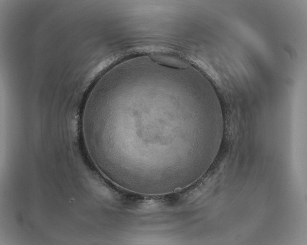 X0000112090111200908041458