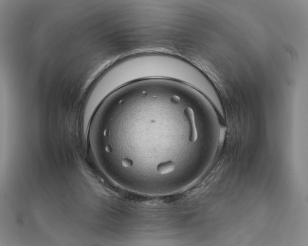 X0000112090112200908041458