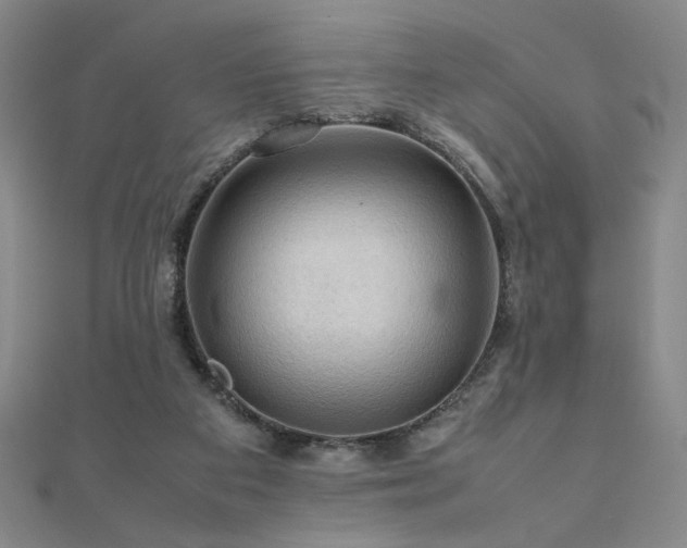 X0000112090113200908041458