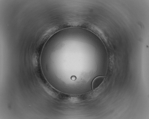X0000112090114200908041458