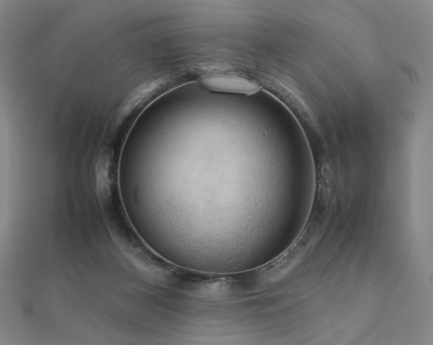 X0000112090116200908041458