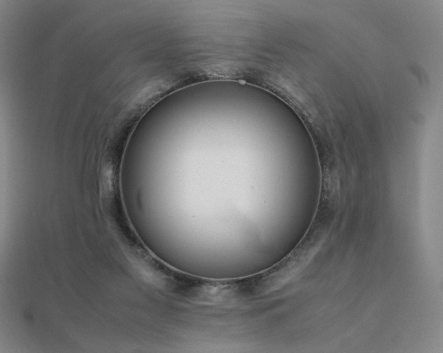 X0000112090117200908041458
