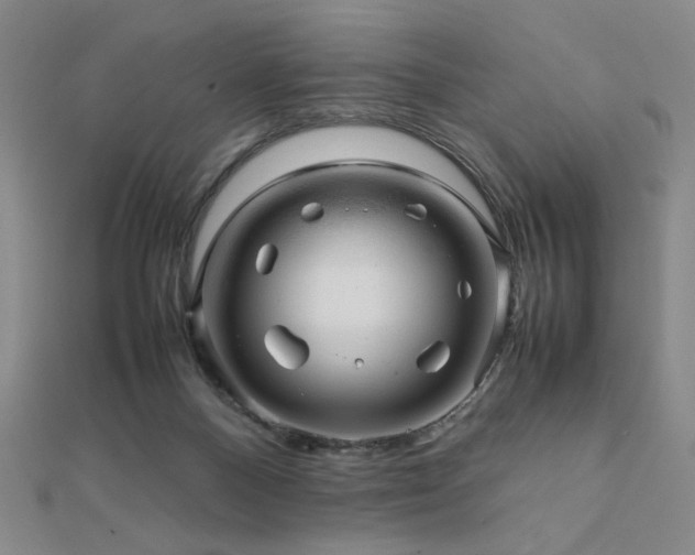 X0000112090120200908041458