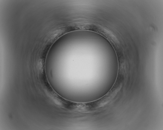 X0000112090121200908041458