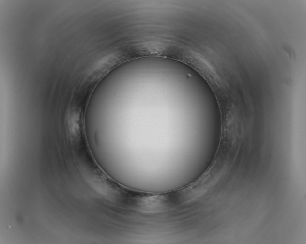 X0000112090122200908041458