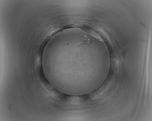 X0000112090123200908041458