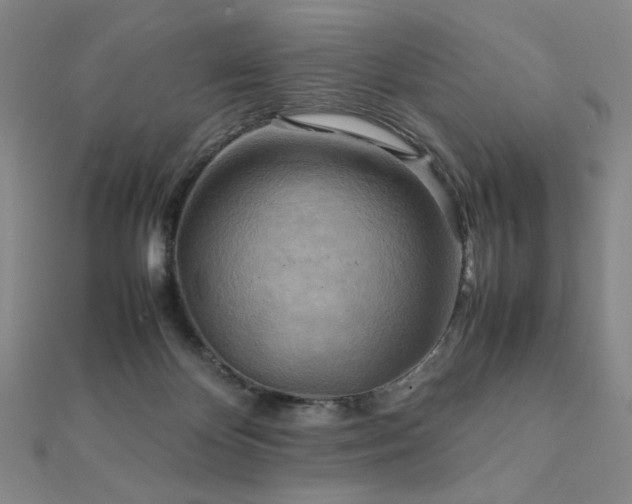 X0000112090124200908041458