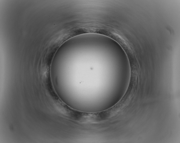 X0000112090125200908041458