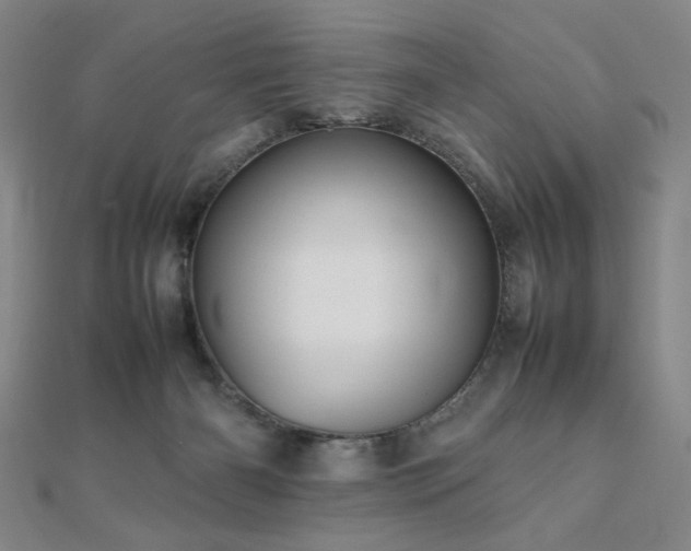 X0000112090126200908041458