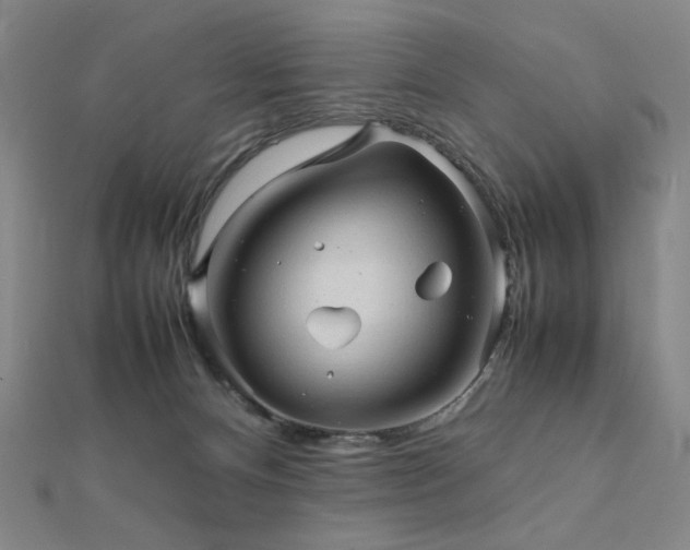 X0000112090128200908041458