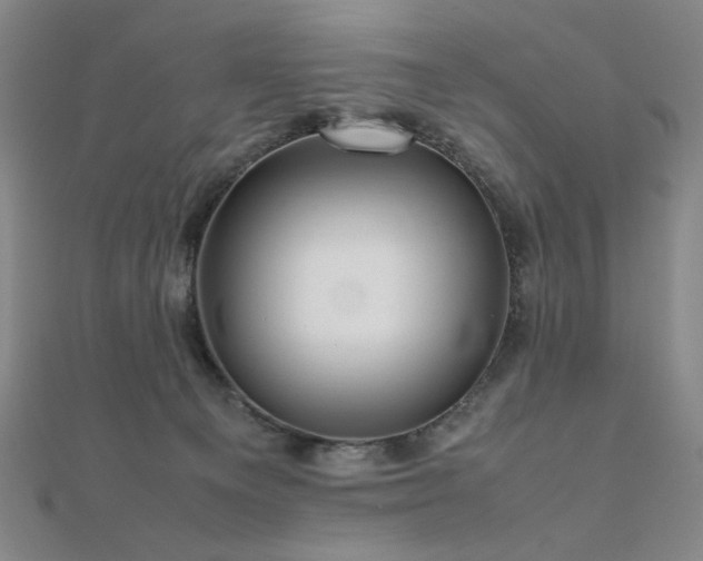X0000112090129200908041458
