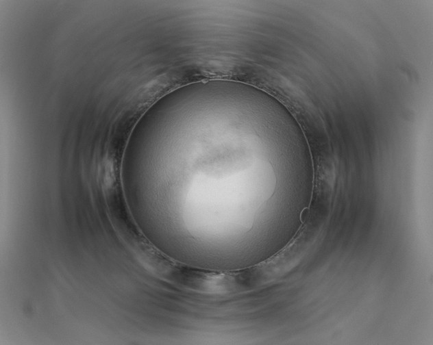 X0000112090130200908041458