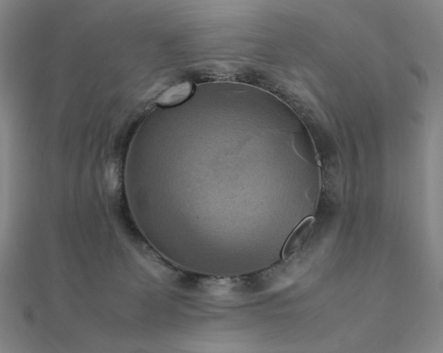 X0000112090131200908041458