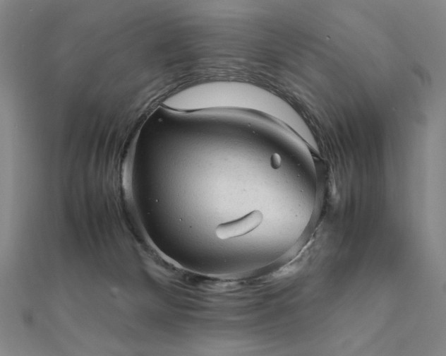 X0000112090132200908041458