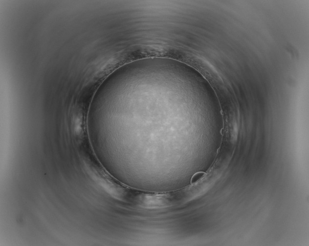 X0000112090134200908041458